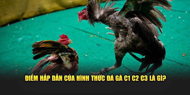 Điểm hấp dẫn của hình thức đá gà C1, C2, C3 là gì?