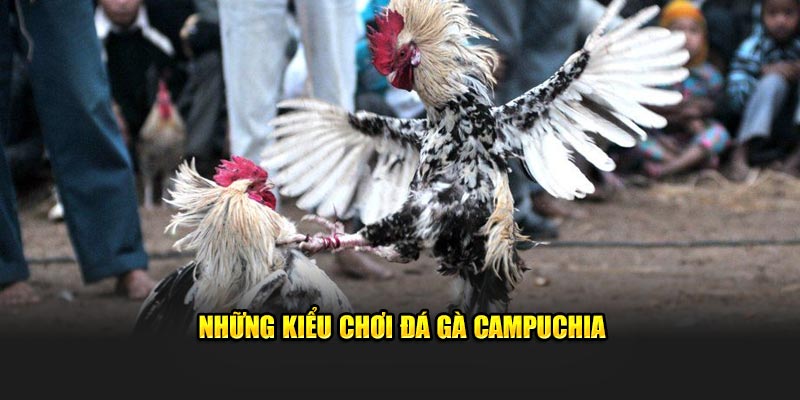 Một số kiểu chơi đá gà Campuchia