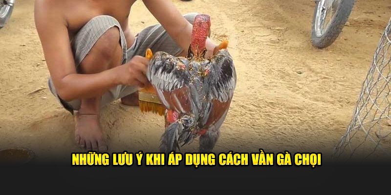 Những lưu ý khi áp dụng cách vần gà chọi